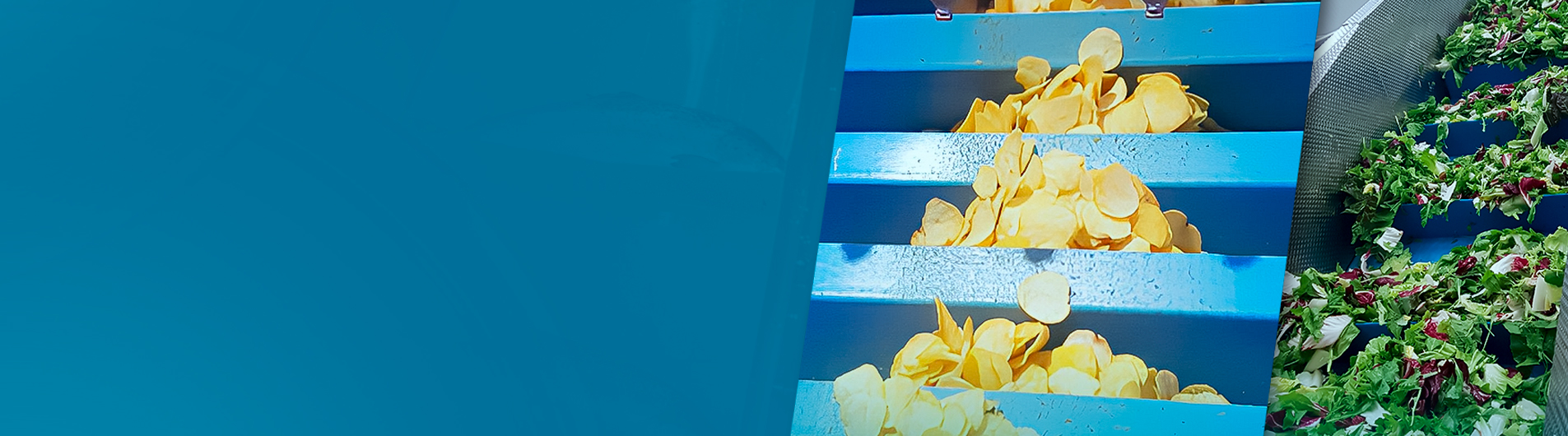 Banner-Soliflex