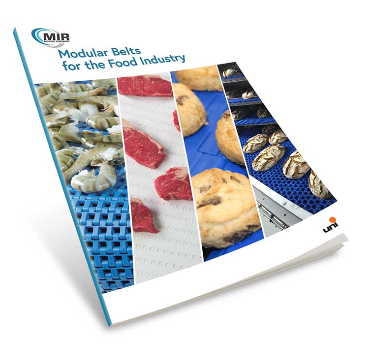 Modular Belt for the Food Industry