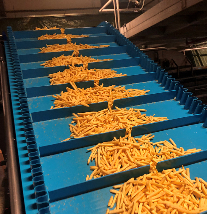Farm fries elevator