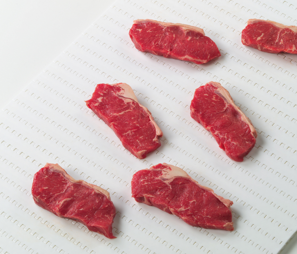Raw beef on a food grade conveyor belt in a meat and poultry processing plant
