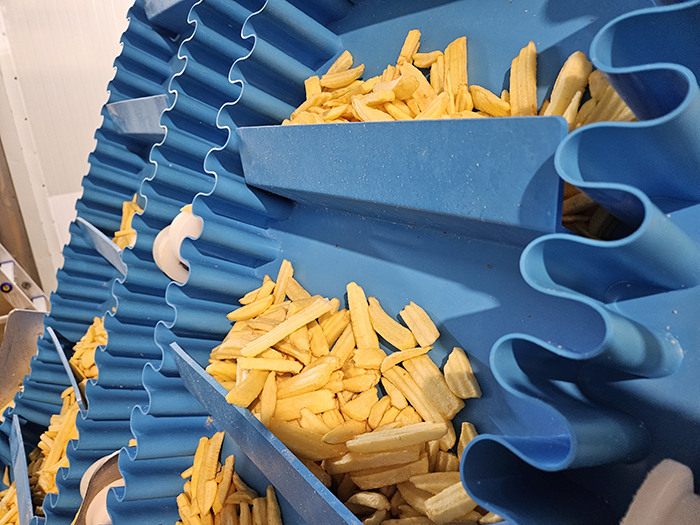 From Raw Potato to Perfect Fry