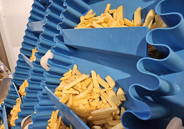 From Raw Potato to Perfect Fry