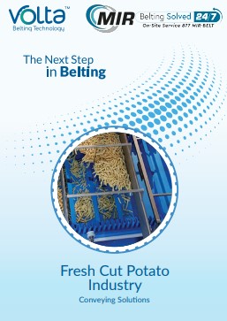French fry processing