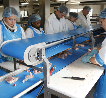 Volta superdrive positive drive Conveyor Belt